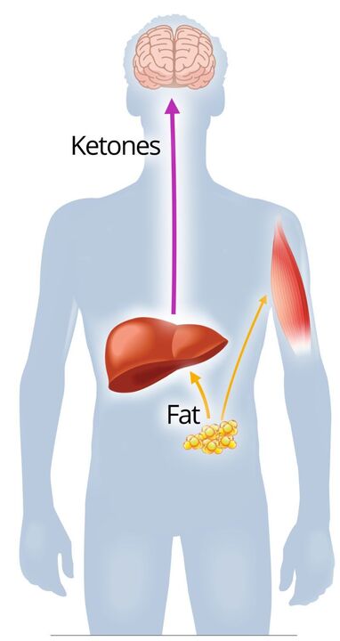 Ketose mit NexaSlim